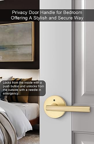 goldenwarm Gold Interior Door Handles, Gold Privacy Lever Door Handle,